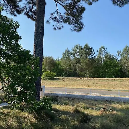 בית נופש Piscine Bord De Foret *