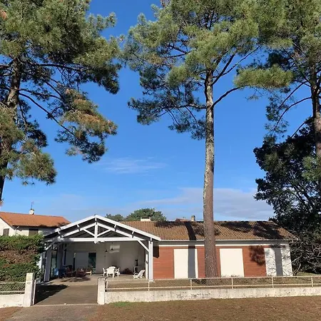 Piscine Bord De Foret בית נופש Mimizan-Plage