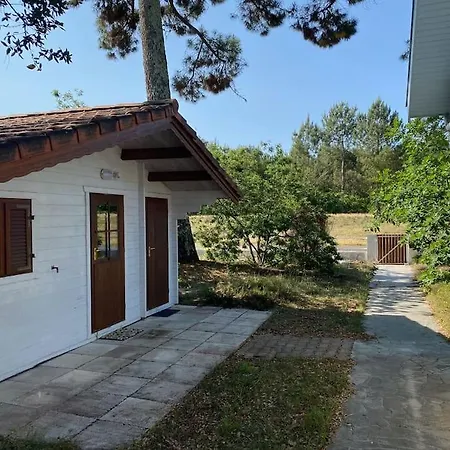 Ferienhaus Piscine Bord De Foret Mimizan